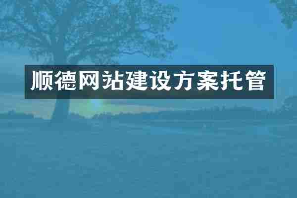 顺德网站建设方案托管