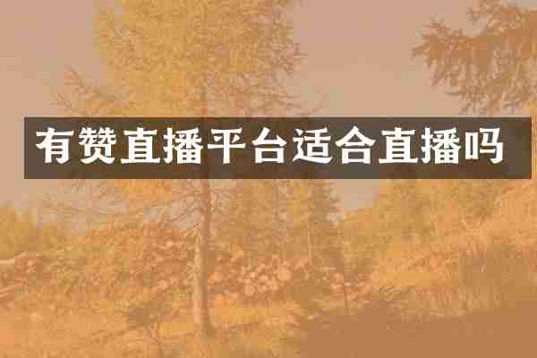 有赞直播平台适合直播吗