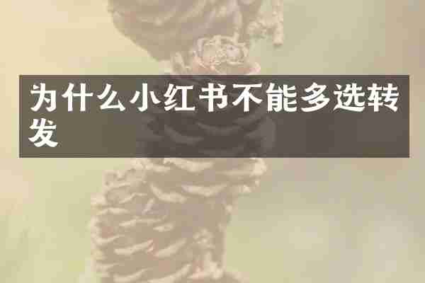 为什么小红书不能多选转发