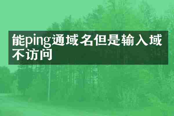 能ping通域名但是输入域名不访问