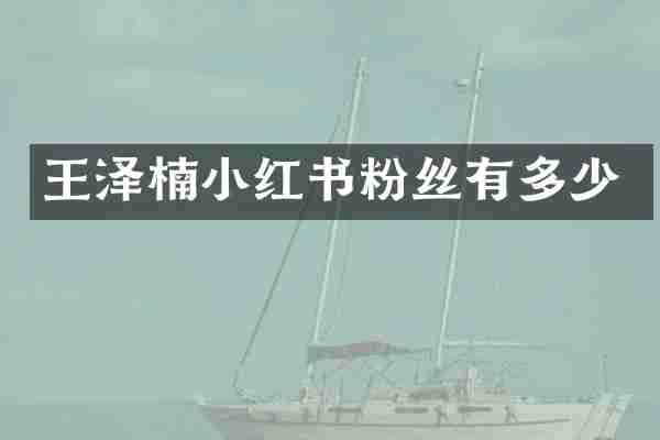 王泽楠小红书粉丝有多少