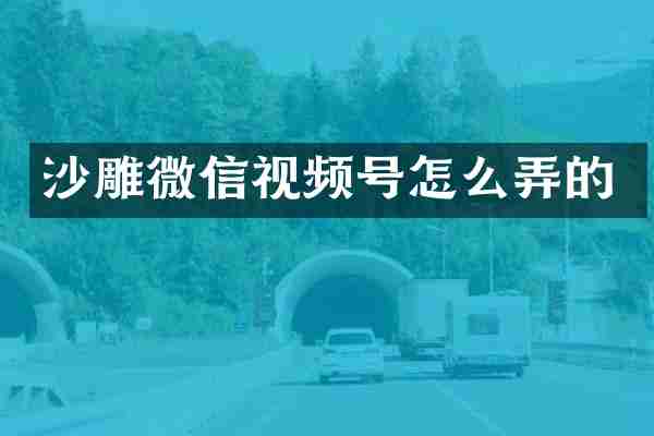 沙雕微信视频号怎么弄的