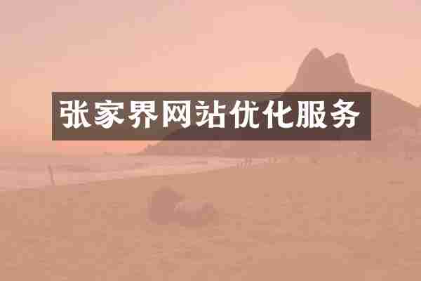 张家界网站优化服务