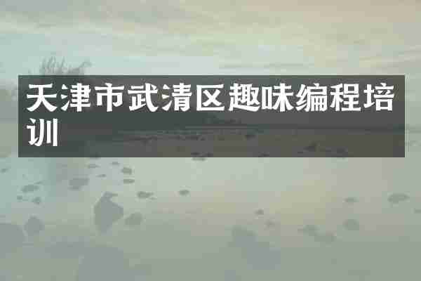 天津市武清区趣味编程培训