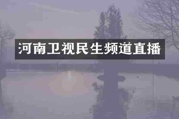 河南卫视民生频道直播