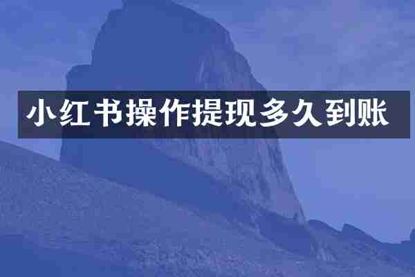 小红书操作提现多久到账