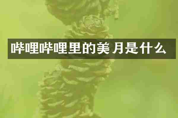 哔哩哔哩里的美月是什么