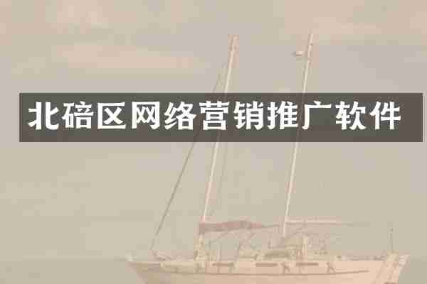 北碚区网络营销推广软件