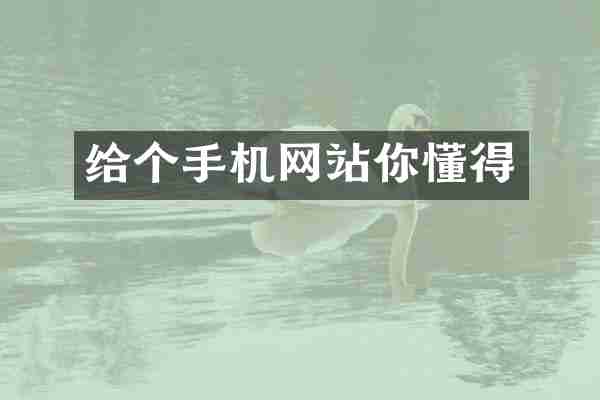 给个手机网站你懂得