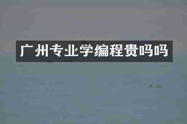 广州专业学编程贵吗吗
