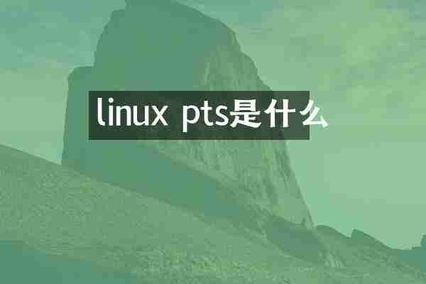 linux pts是什么