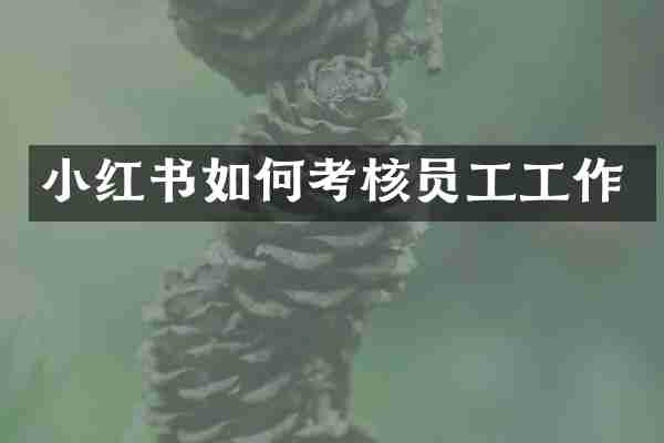 小红书如何考核员工工作