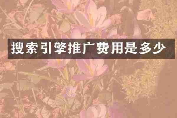 搜索引擎推广费用是多少