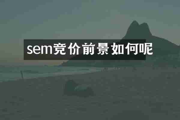 sem竞价前景如何呢