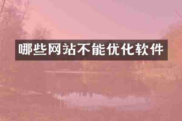 哪些网站不能优化软件