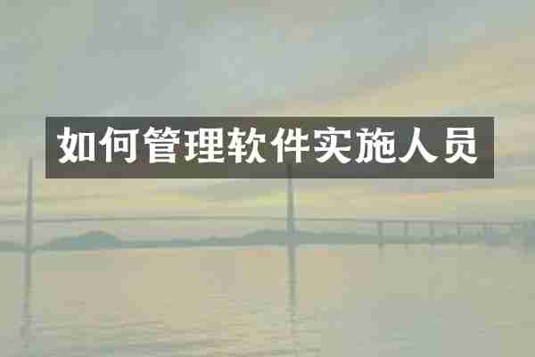 如何管理软件实施人员