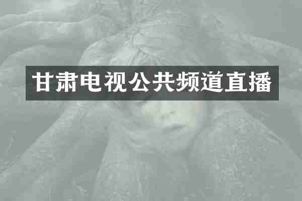 甘肃电视公共频道直播