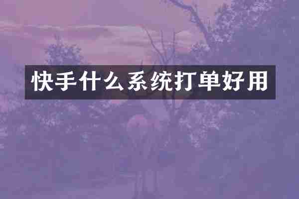 快手什么系统打单好用