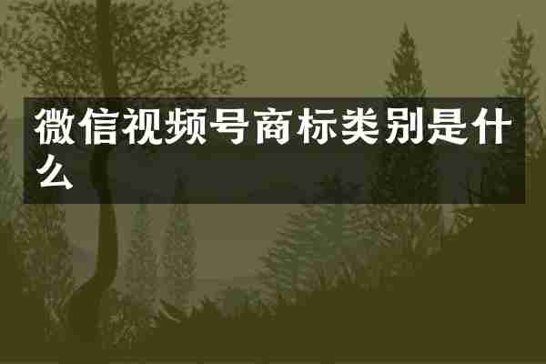 微信视频号商标类别是什么