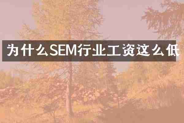 为什么SEM行业工资这么低