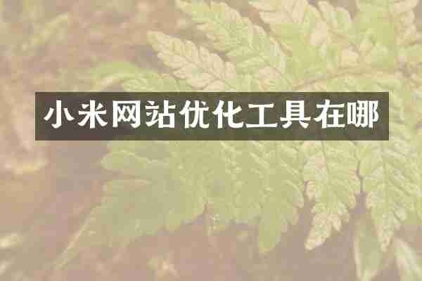 小米网站优化工具在哪