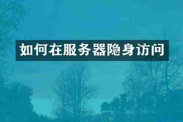 如何在服务器隐身访问
