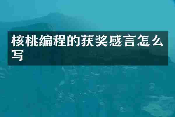 核桃编程的获奖感言怎么写