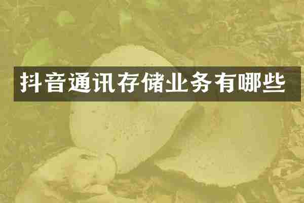 抖音通讯存储业务有哪些