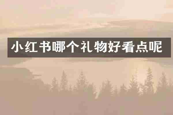 小红书哪个礼物好看点呢