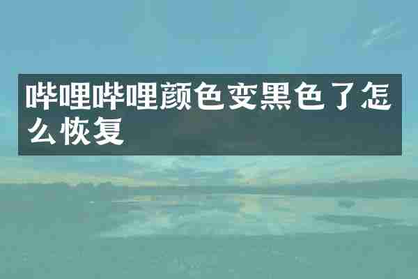哔哩哔哩颜色变黑色了怎么恢复