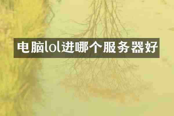 电脑lol进哪个服务器好
