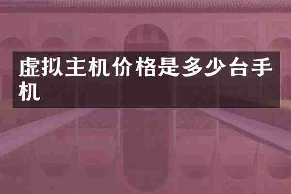虚拟主机价格是多少台手机