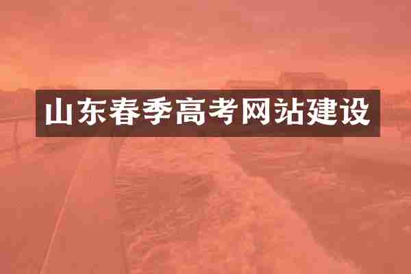山东春季高考网站建设