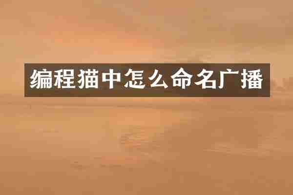 编程猫中怎么命名广播