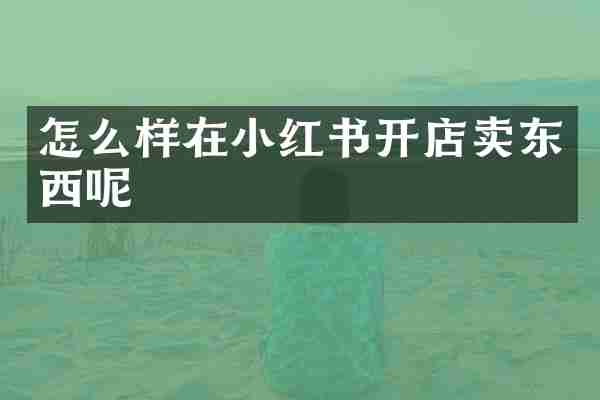 怎么样在小红书开店卖东西呢