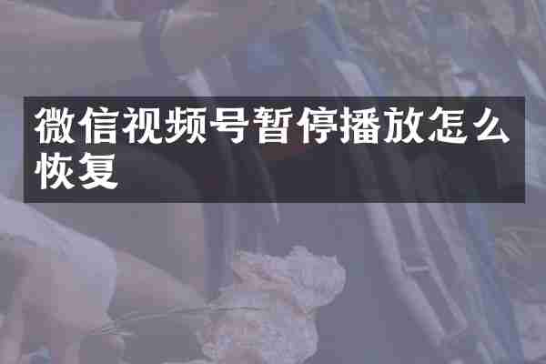 微信视频号暂停播放怎么恢复