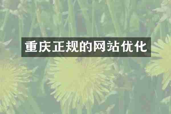 重庆正规的网站优化