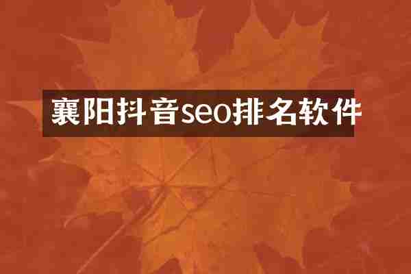 襄阳抖音seo排名软件