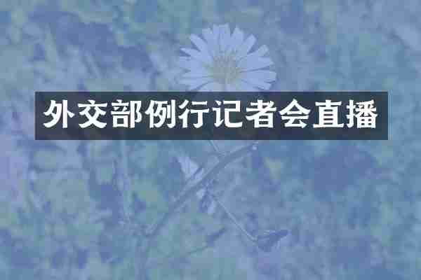 外交部例行记者会直播