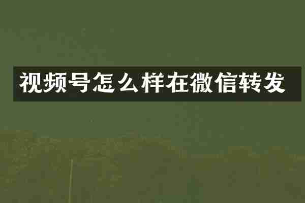 视频号怎么样在微信转发