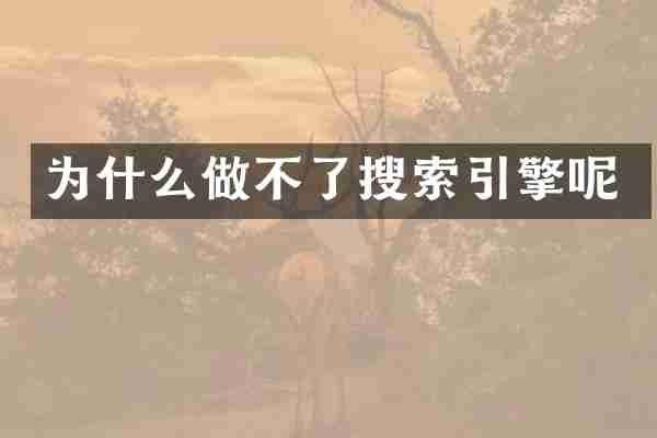 为什么做不了搜索引擎呢