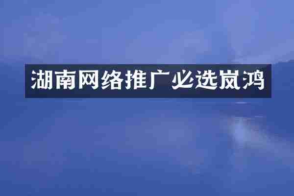 湖南网络推广必选岚鸿