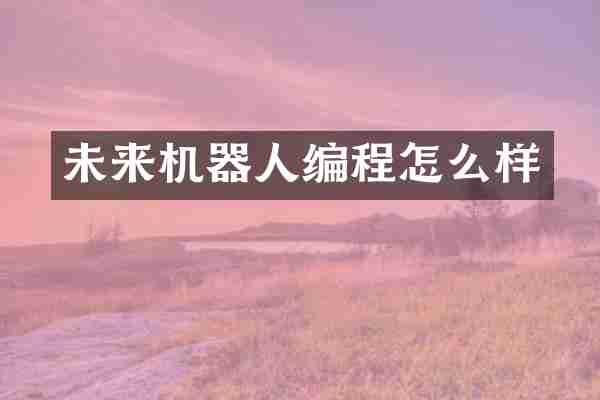 未来机器人编程怎么样