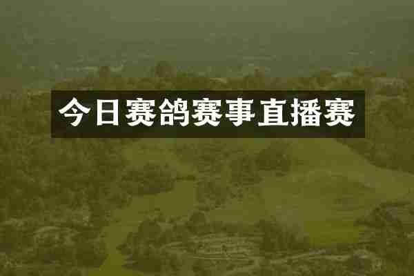 今日赛鸽赛事直播赛