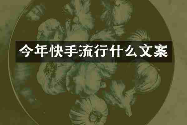 今年快手流行什么文案