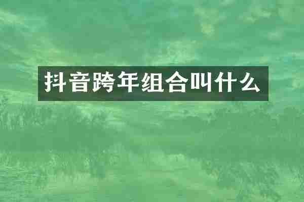 抖音跨年组合叫什么
