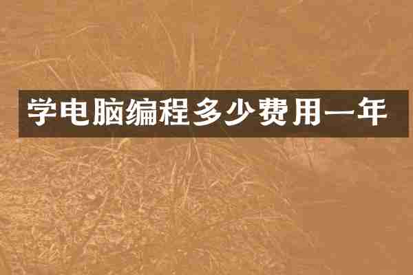 学电脑编程多少费用一年