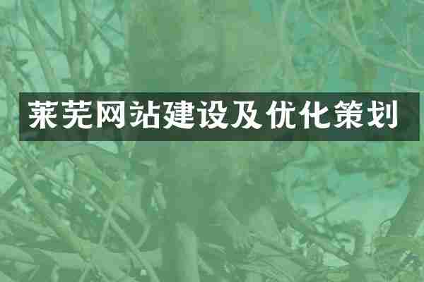 莱芜网站建设及优化策划