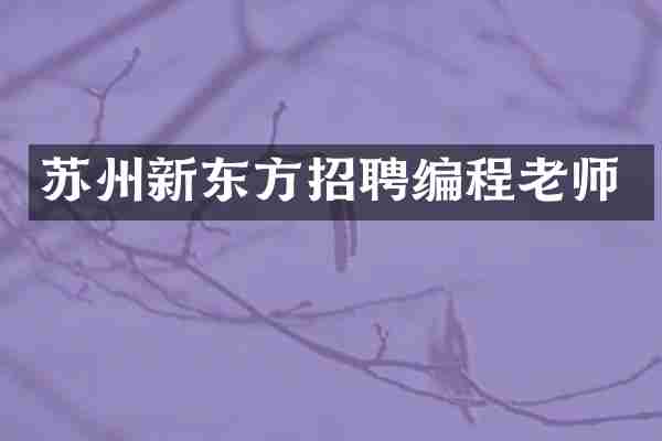 苏州新东方招聘编程老师
