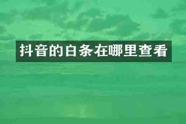 抖音的白条在哪里查看